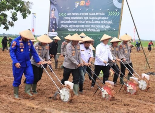 Kabaharkam Polri Pimpin Penanaman Jagung di Indramayu Kabaharkam Polri Pimpin Penanaman Jagung di Indramayu