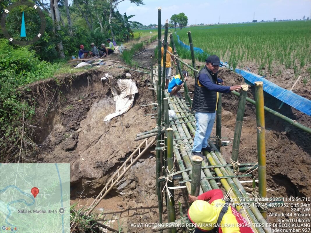 UPTD Pertanian Cikaum Bersama Warga Gotong Royong Berbaiki Saluran Tersier Yang Terkena Longsor UPTD Pertanian Cikaum Bersama Warga Gotong Royong Berbaiki Saluran Tersier Yang Terkena Longsor
