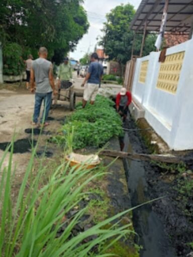 Kompak, Masyarakat Desa Bulak Kidul Giat Gotong Royong Kuras Selokan yang Dangkal Kompak, Masyarakat Desa Bulak Kidul Giat Gotong Royong Kuras Selokan yang Dangkal