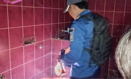 Musim Penghujan Warga Diminta Waspadai Ular Masuk Rumah Musim Penghujan Warga Diminta Waspadai Ular Masuk Rumah