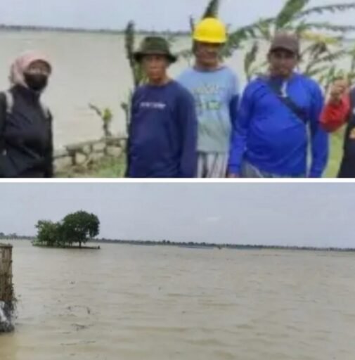 Camat Balongan Bersama UPTD Pertanian, Tinjau Lahan Pertanian Terendam Banjir Camat Balongan Bersama UPTD Pertanian, Tinjau Lahan Pertanian Terendam Banjir