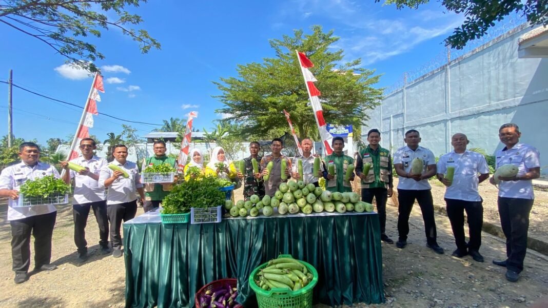 Dukung Ketahanan Pangan Nasional : Lapas Meulaboh Ikuti Panen Raya Serentak Kemenimipas | Kompas.SBS.-News Dukung Ketahanan Pangan Nasional : Lapas Meulaboh Ikuti Panen Raya Serentak Kemenimipas | Kompas.SBS.-News