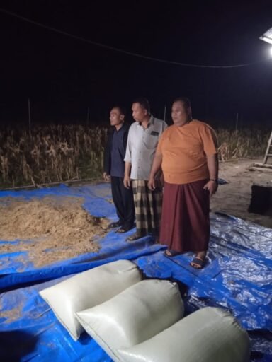 Keuchik, Anggota DPRK Dan Ketua BUMDES Gampong Bateshoek Pantau Langsung Pengelolahan Panen Padi Gogo | News Keuchik, Anggota DPRK Dan Ketua BUMDES Gampong Bateshoek Pantau Langsung Pengelolahan Panen Padi Gogo | News