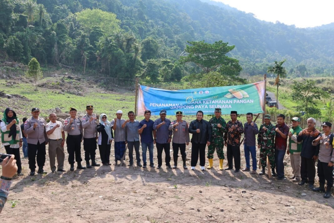 Kapolres Sabang Hadiri Penanaman Perdana Ketahanan Pangan Di Gampong Paya Seunara | Kompas.sbs.-News Kapolres Sabang Hadiri Penanaman Perdana Ketahanan Pangan Di Gampong Paya Seunara | Kompas.sbs.-News