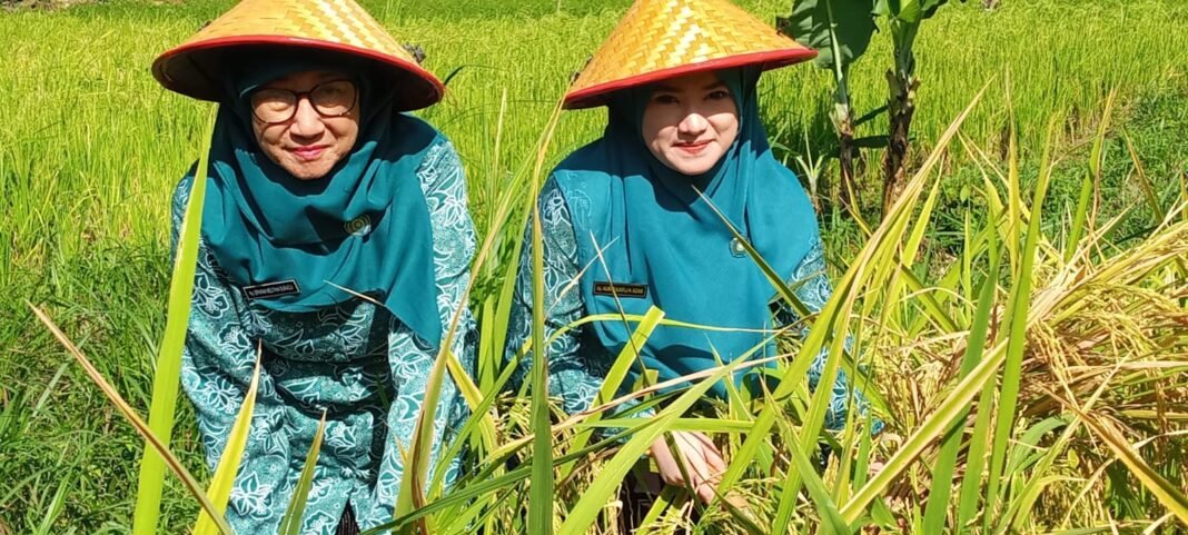 Tegaskan Komitmen Kemandirian Pangan dan Kesejahteraan Keluarga | Kompas.SBS.-News Tegaskan Komitmen Kemandirian Pangan dan Kesejahteraan Keluarga | Kompas.SBS.-News