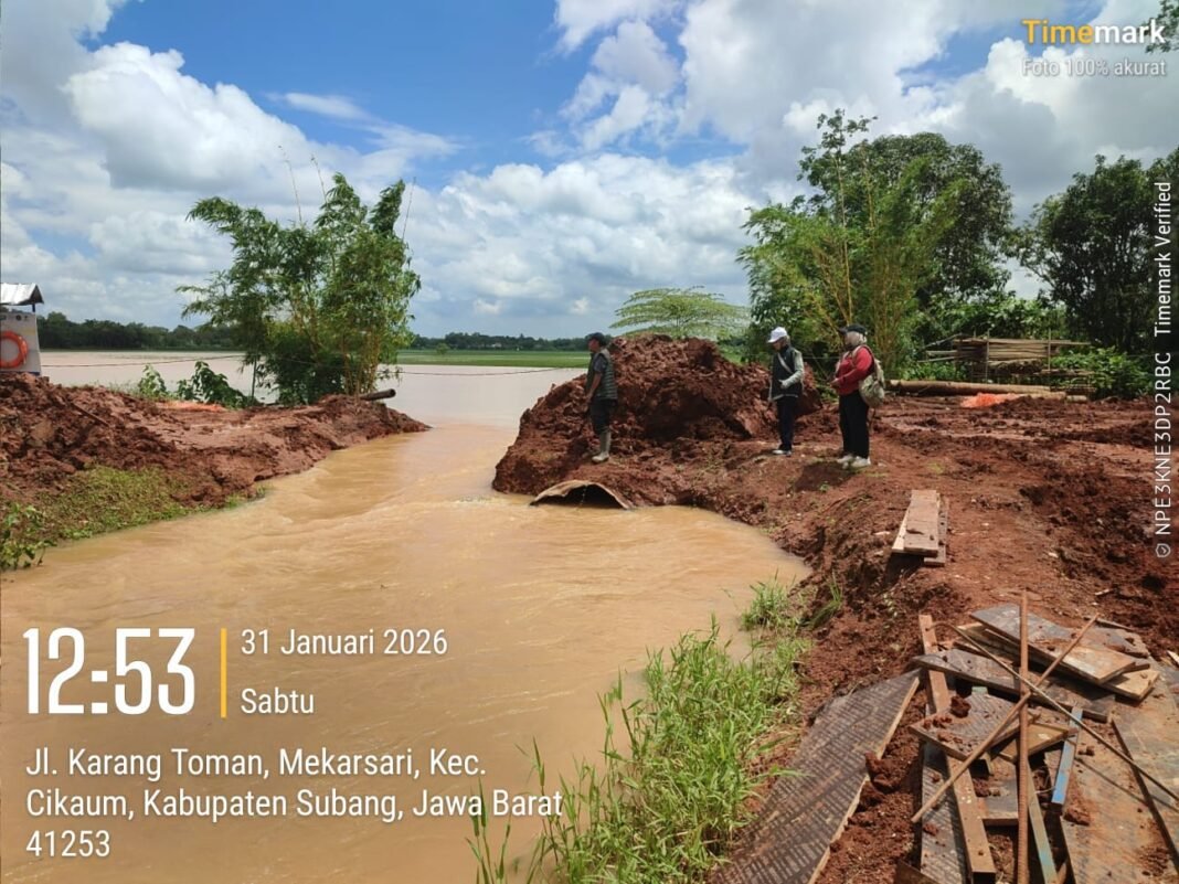 Petani Wilayah Cikaum Meradang Sawahnya Tergenang Banjir Mengakibatkan Gagal Panen Petani Wilayah Cikaum Meradang Sawahnya Tergenang Banjir Mengakibatkan Gagal Panen