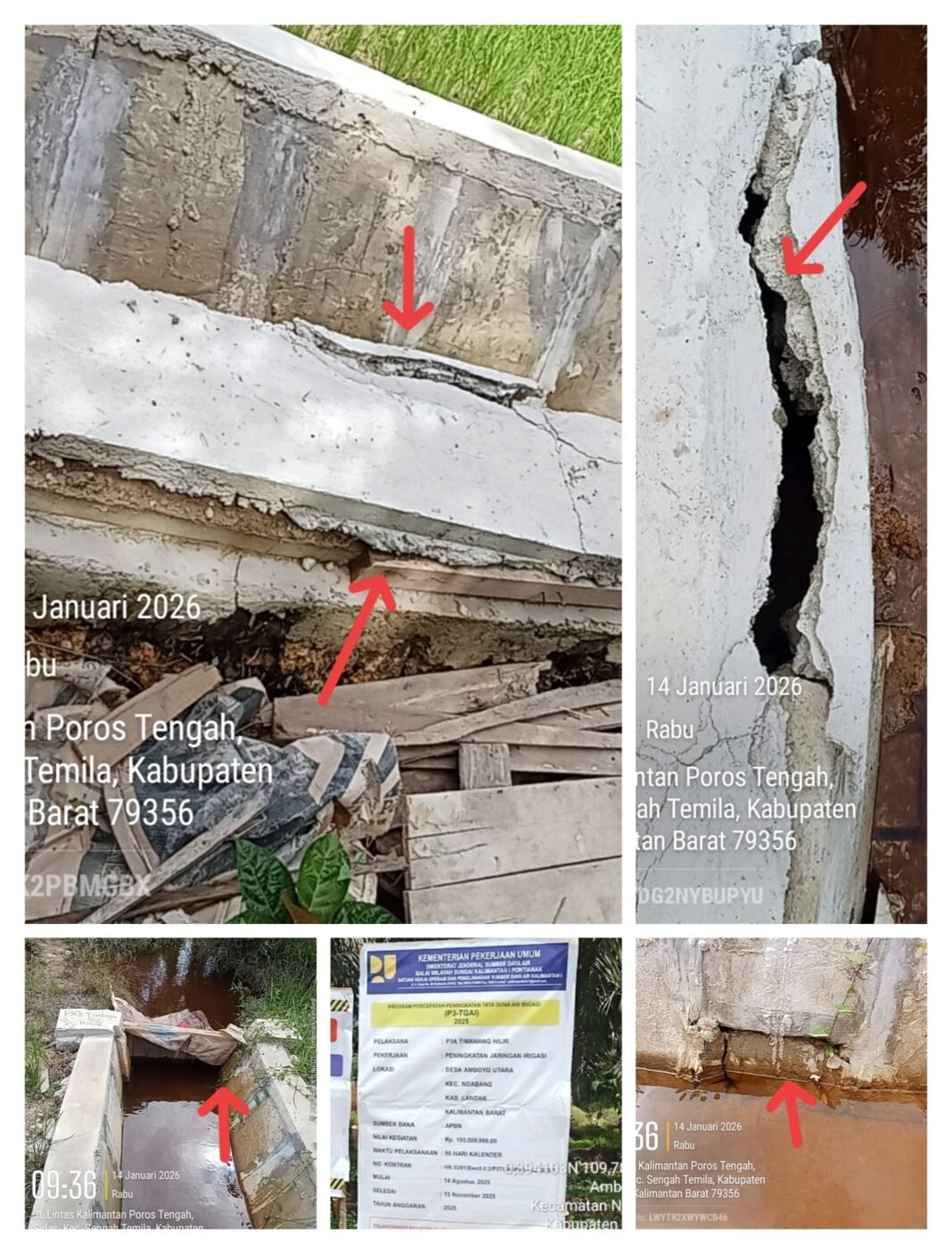 P3-TGAI Desa Amboyo Bederai. Bayar Pendamping Gede Percuma P3-TGAI Desa Amboyo Bederai. Bayar Pendamping Gede Percuma