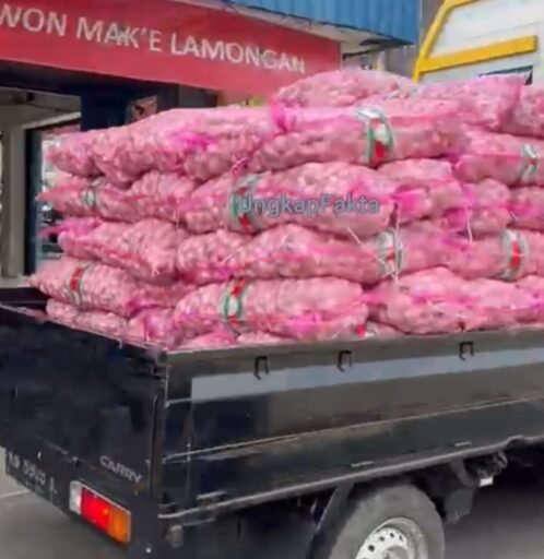 Dikota Pontianak, bawang Putih Ilegal Bebas Keluar Masuk Dikota Pontianak, bawang Putih Ilegal Bebas Keluar Masuk