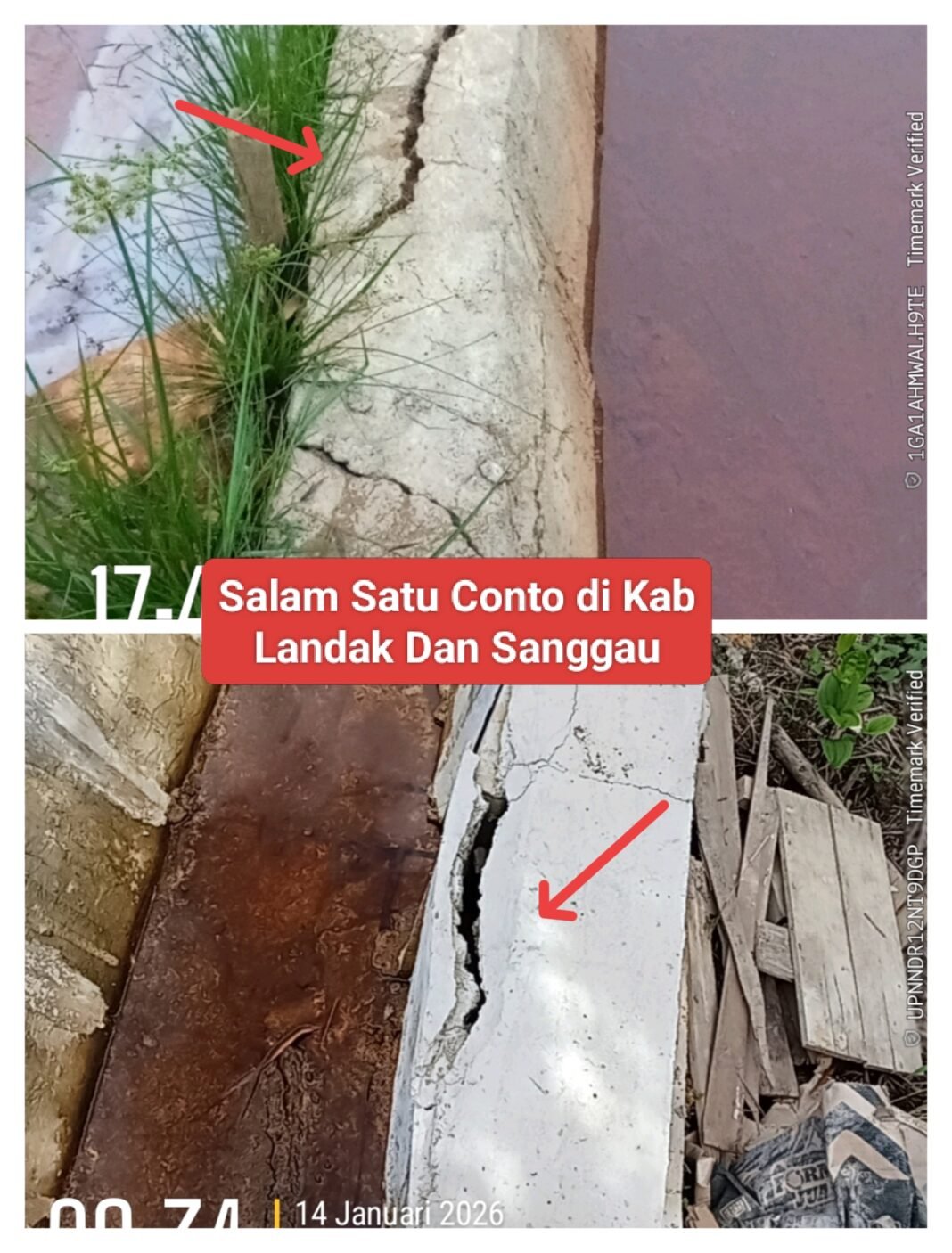 Kalau P3-TGAI Menyimpang : Yang Salah Itu Menteri, Kejaksaan Dan Polda Kalbar, Karna Mereka Diam Kalau P3-TGAI Menyimpang : Yang Salah Itu Menteri, Kejaksaan Dan Polda Kalbar, Karna Mereka Diam
