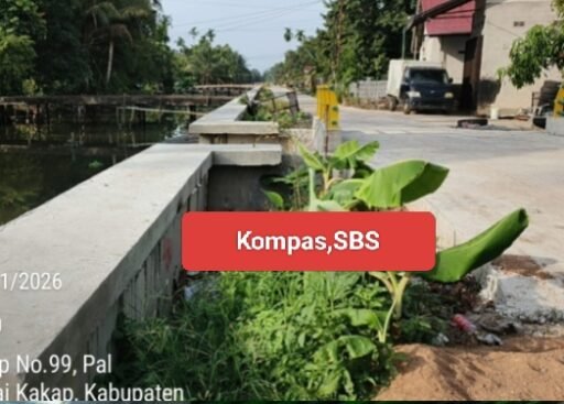 Proyek Perkuatan Tebing Sungai Jawi : Turap Klir, Timbunan Sudah Full Proyek Perkuatan Tebing Sungai Jawi : Turap Klir, Timbunan Sudah Full
