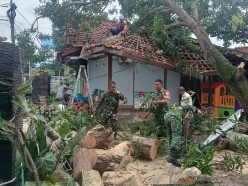 Danramil 1601/Indramayu Pimpin Pembersihan Pohon Tumbang di Kelurahan Kepandean Danramil 1601/Indramayu Pimpin Pembersihan Pohon Tumbang di Kelurahan Kepandean