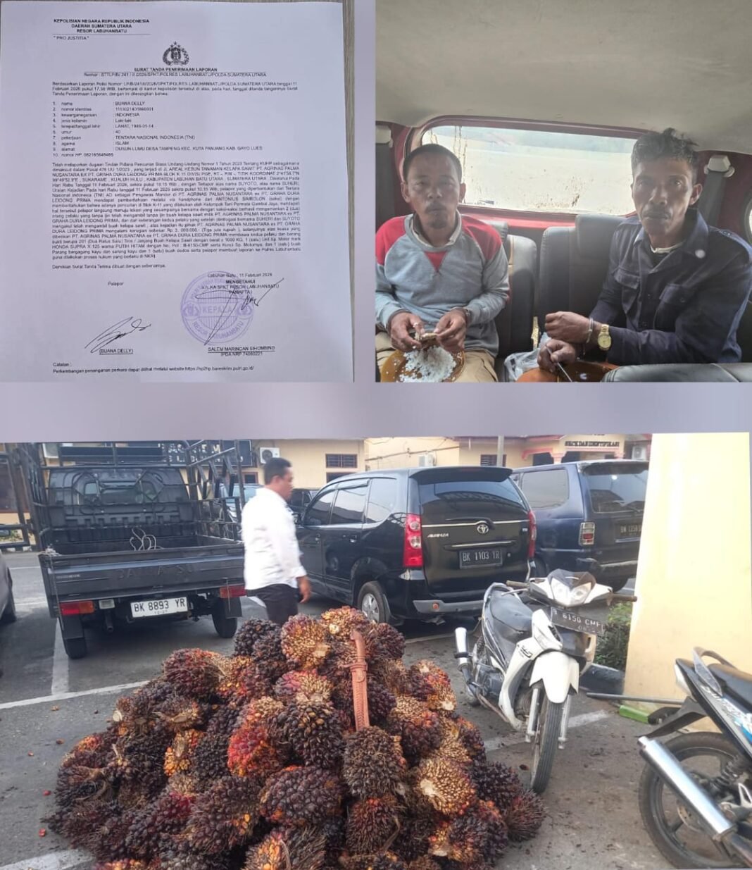 “PT. Agrinas Palma Nusantara Lagi Dan Lagi Tangkap Tangan Terduga Pencuri Buah Kelapa Sawit” “PT. Agrinas Palma Nusantara Lagi Dan Lagi Tangkap Tangan Terduga Pencuri Buah Kelapa Sawit”