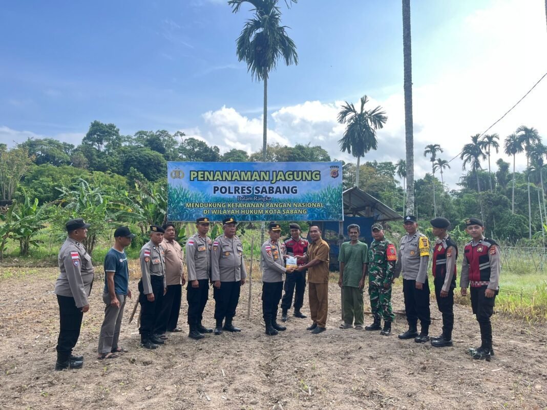 keuchik gampong batee shok ridwan nasution turun langsung tanam jagung bersama polres sabang | Kompas SBS. keuchik gampong batee shok ridwan nasution turun langsung tanam jagung bersama polres sabang | Kompas SBS.
