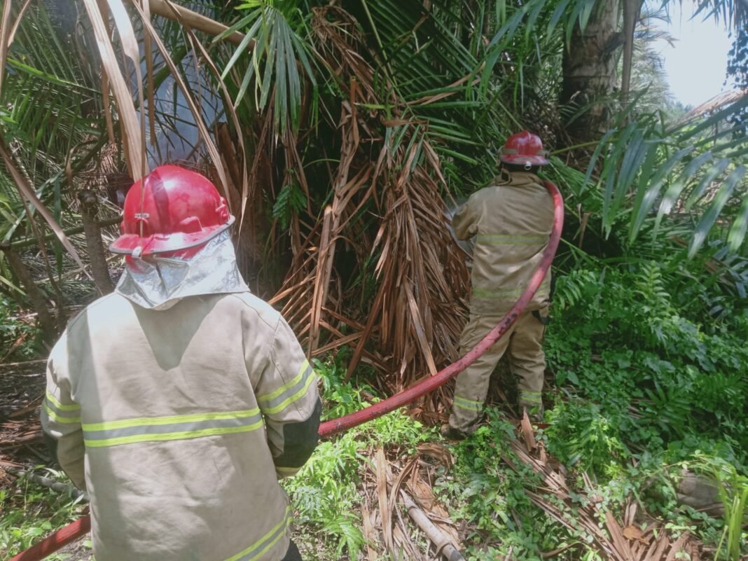 Tiga Unit Damkar Dikerahkan, Kebakaran Pohon Rumbia di Teubangphui Baro Montasik Berhasil Dikendalikan Cepat Tiga Unit Damkar Dikerahkan, Kebakaran Pohon Rumbia di Teubangphui Baro Montasik Berhasil Dikendalikan Cepat