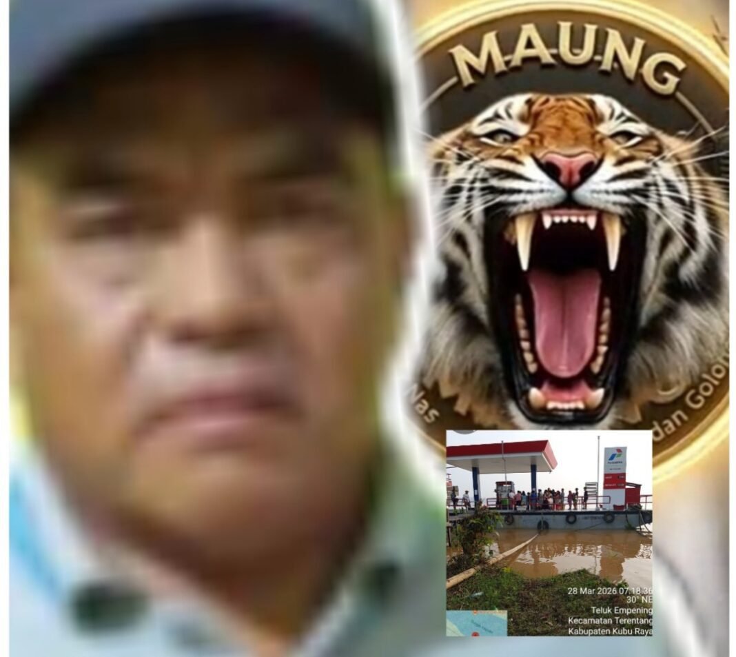 LSM MAUNG Kubu Raya Pantau Ketersediaan Bahan Pokok di Wilayah Terentang LSM MAUNG Kubu Raya Pantau Ketersediaan Bahan Pokok di Wilayah Terentang