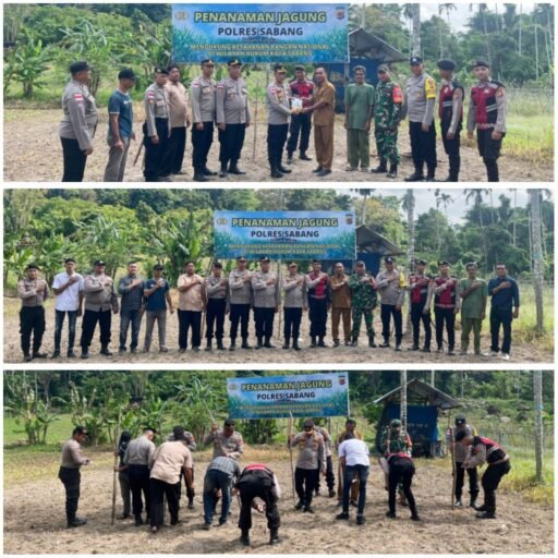 Polres Sabang Tanam Jagung Pipil, Wujud Implementasi Ketahanan Pangan POLRI | Kompas SBS.-News Polres Sabang Tanam Jagung Pipil, Wujud Implementasi Ketahanan Pangan POLRI | Kompas SBS.-News
