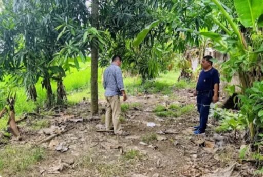 Polsek Kedokan Bunder Gerebek Lokasi Peredaran Obat Terlarang di Desa Cangkingan Polsek Kedokan Bunder Gerebek Lokasi Peredaran Obat Terlarang di Desa Cangkingan