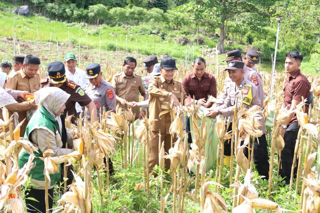 Wakil Wali Kota Sabang Tegaskan Penguatan Ketahanan Pangan || Kompas.sbs.-News. Wakil Wali Kota Sabang Tegaskan Penguatan Ketahanan Pangan || Kompas.sbs.-News.