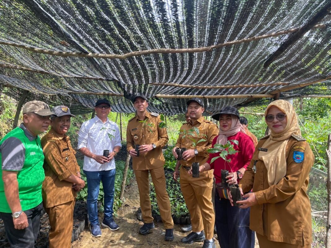 PTBA Dampingi Petani Kopi Sawahlunto Panen dan Ciptakan Nilai Tambah PTBA Dampingi Petani Kopi Sawahlunto Panen dan Ciptakan Nilai Tambah