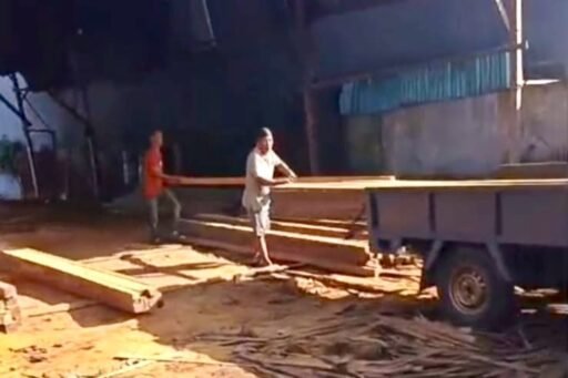 Pembelahan Kayu Belian Siang Hari di Pontianak Utara Jadi Sorotan, APH Diminta Turun ke Lokasi Pembelahan Kayu Belian Siang Hari di Pontianak Utara Jadi Sorotan, APH Diminta Turun ke Lokasi