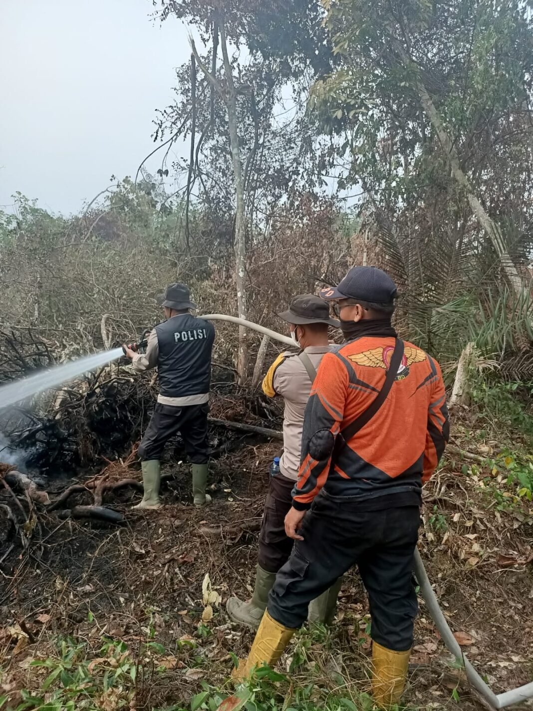 Api Menggila di LahanGambut SungaiRotan, Puluhan Hektare Terancam!TimGabungan Berjibaku Selamatkan Lingkungan Api Menggila di LahanGambut SungaiRotan, Puluhan Hektare Terancam!TimGabungan Berjibaku Selamatkan Lingkungan