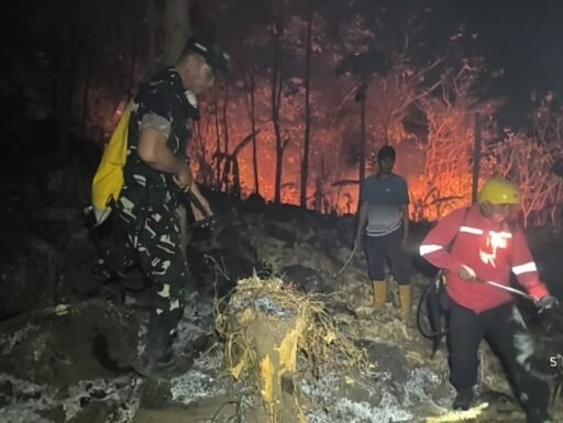 Aksi Heroik Personel Gabungan dan Masyarakat Padamkan Karhutla di Kabupaten Gowa Aksi Heroik Personel Gabungan dan Masyarakat Padamkan Karhutla di Kabupaten Gowa
