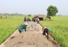 Capai 60 Persen! Jalan Tani Kalebarembeng Semakin Dekat Selesai, Dandim Gowa Dorong Semangat Gotong Royong