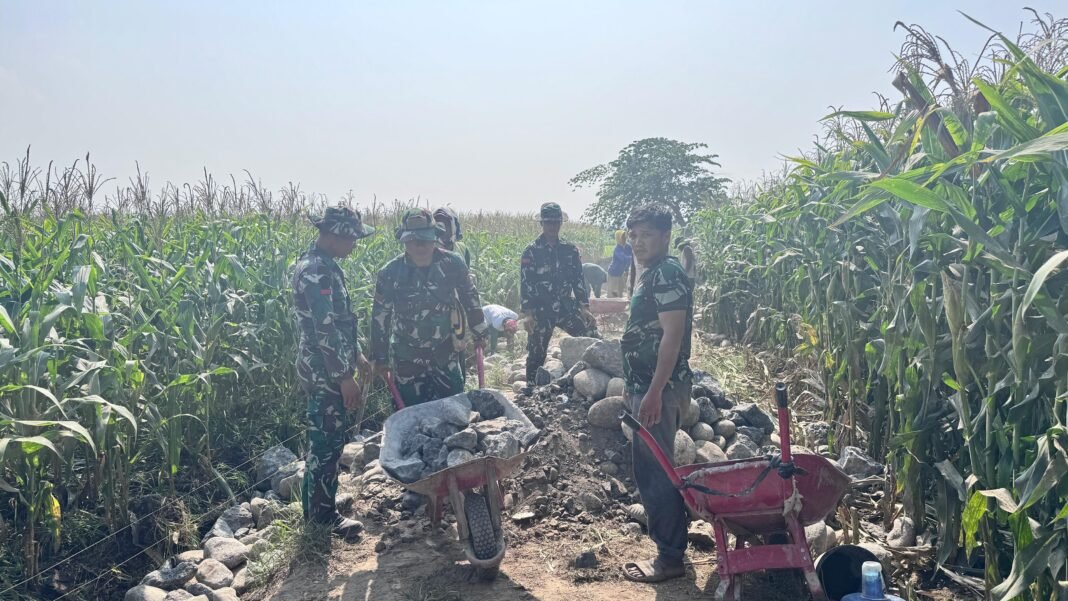 Progres Capai 65 Persen, Sinergi TNI‑Warga Bawa Jalan Tani Kalebarembeng Semakin Dekat Selesai Progres Capai 65 Persen, Sinergi TNI‑Warga Bawa Jalan Tani Kalebarembeng Semakin Dekat Selesai