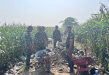 Progres Capai 65 Persen, Sinergi TNI‑Warga Bawa Jalan Tani Kalebarembeng Semakin Dekat Selesai